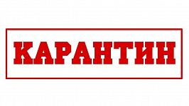 Карантин - Режим работы сГон.рф